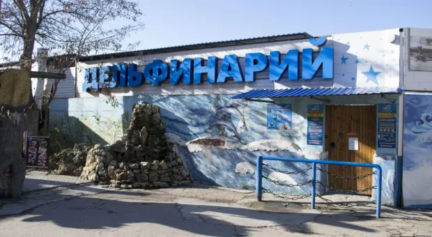 Минэкология требует наказать «Страну Дельфинию» в Севастополе за разлив сточных вод