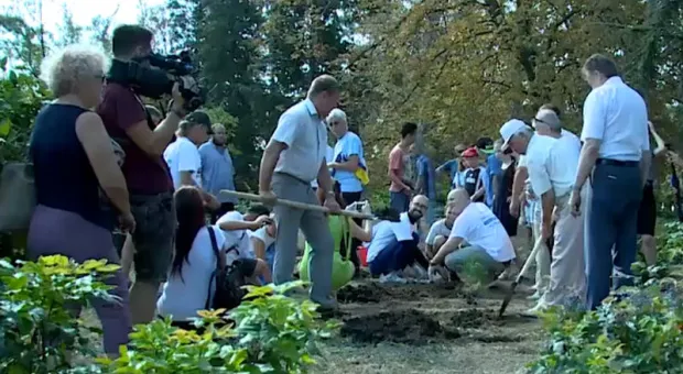 Жители Германии высадили деревья на Малаховом кургане в Севастополе