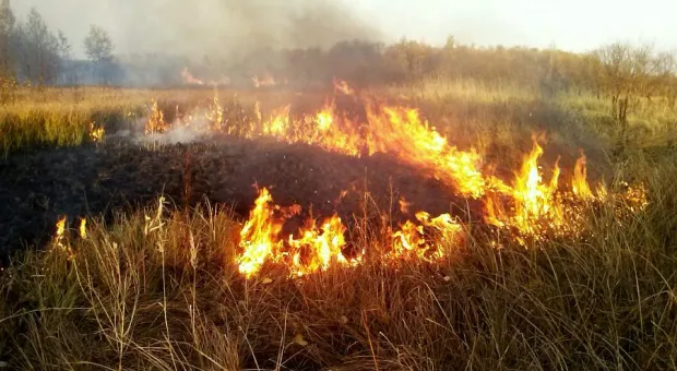 На прошлой неделе в Севастополе больше всего горел Нахимовский район 