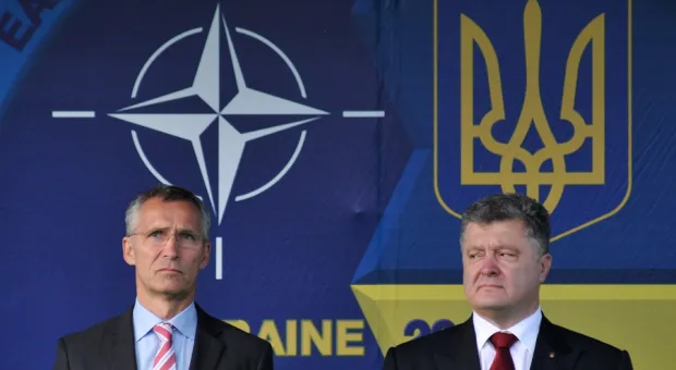 Украину примут в НАТО после отказа от Крыма – эксперт