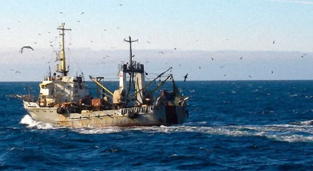 Крымских пограничников обвинили в «захвате» браконьерского судна