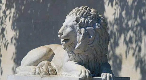 В Севастополе начали клонировать второго льва с Графской пристани
