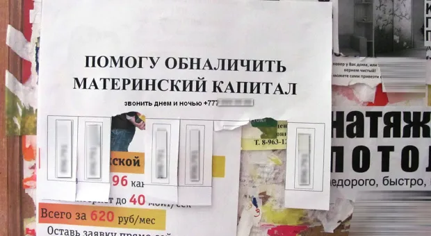 В Севастополе незаконно предлагают землю под Челябинском за маткапитал