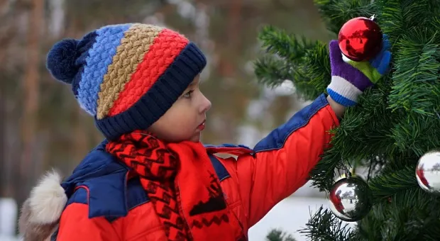 Стало известно, когда в Севастополе начнут торговать новогодними ёлками