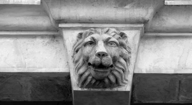 Ни мужества, ни величия: львы Севастополя вызывают жалость