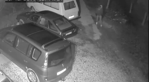 Ночной автовор из Стрелки попал в объектив видеокамеры