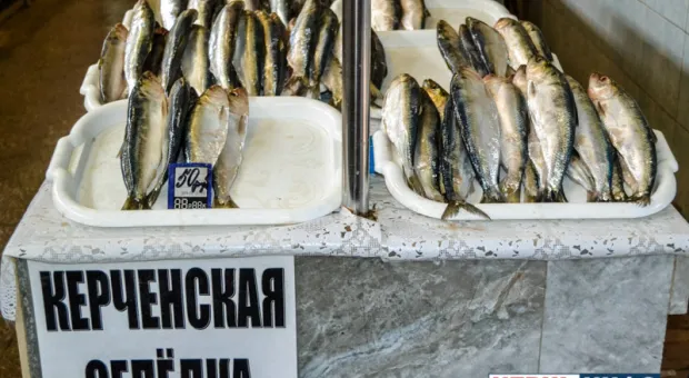 Крымские рыбаки установили селедочный рекорд