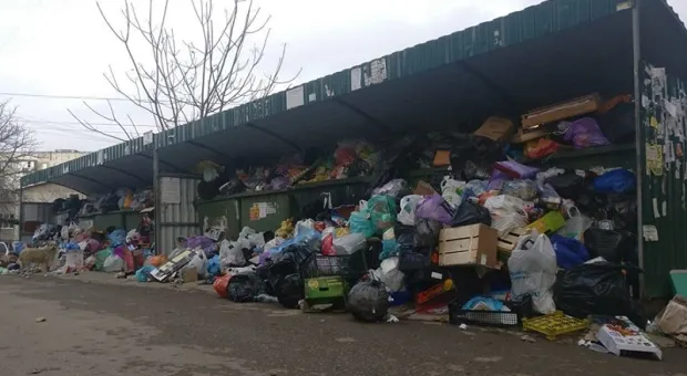 Власти Крыма готовы заморозить стоимость вывоза мусора