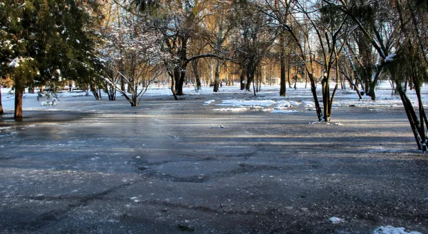 В парке столицы Крыма появились ледяные поля
