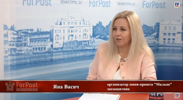 "В Севастополе, по-прежнему, гражданский контроль – самый эффективный", – зоозащитник Яна Васич