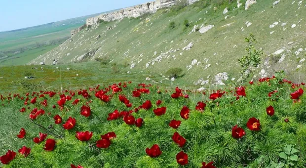 Красоты Крыма: что посмотреть и чему удивиться этой весной