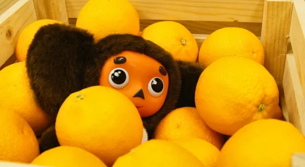 Обещанные Севастополю апельсины из Сирии откладываются