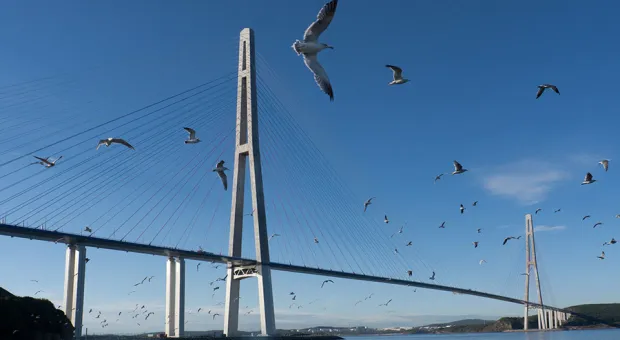 Мост через Севастопольскую бухту будет висячим 