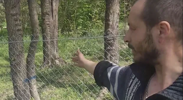 Новости Севастополя - В Севастополе Volkswagen перевернулся и пролетел 30 метров 