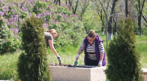 В Крыму назвали лучшие в благоустройстве города