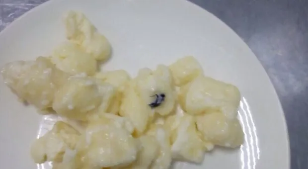В детсаду Крыма малышей кормили кашей с мухами