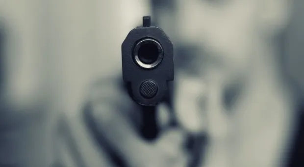 На ЕГЭ с пистолетом: за девятиклассника из Керчи объяснились чиновники