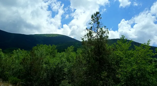 Новости Севастополя - 