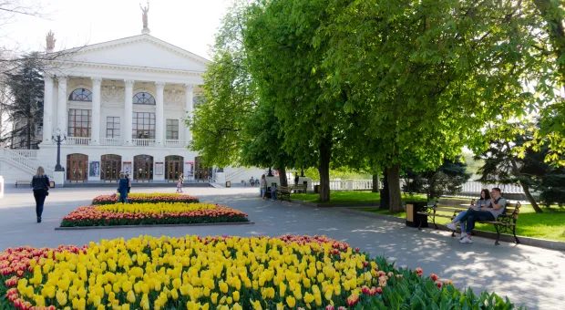 В Севастополе могут перестать продавать билеты в театры и на концерты