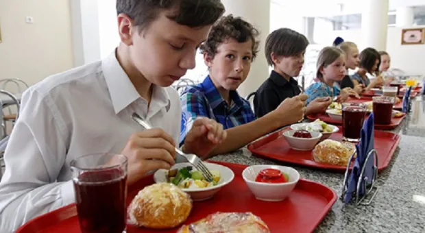 Обеды в российских школах и больницах могут стать лучше