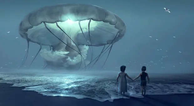 Невиданное нашествие медуз у берегов Крыма имеет простое объяснение, – ученый