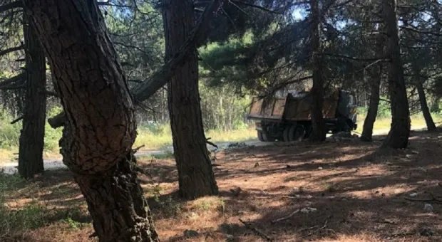 Новости Севастополя - Защита Карабашевича рассчитывает на законное решение Севгорсуда