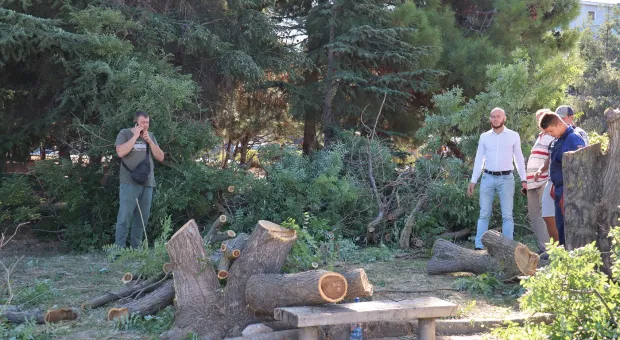 Новости Севастополя - 