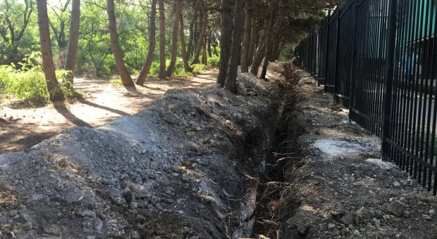 Новости Севастополя - Когда в Севастополе откроются поликлиники