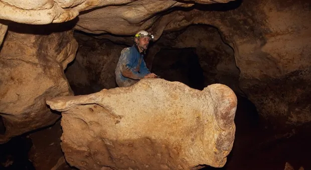 Скелет доисторической змеи найден в пещере Таврида в Крыму