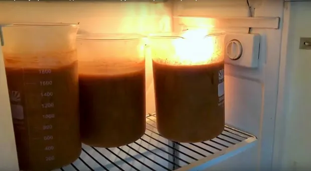 Новости Севастополя - Полтора килограмма улик: в Крыму сотрудники ФСБ задержали 19-летнего наркодилера