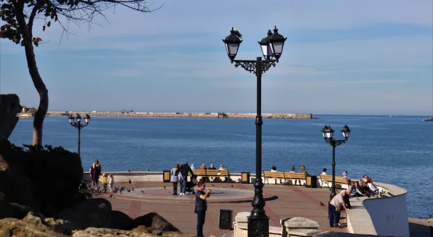 Новости Севастополя - СевСети #853. Хурма Русской весны и краснокнижные потери