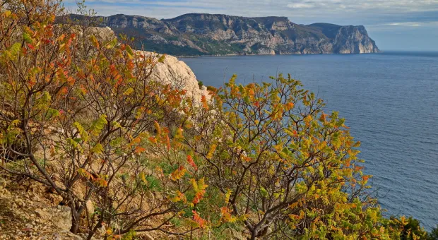 Новости Севастополя - «Берегоукрепление» Севастополя назвали хищением ресурсов и возбудили уголовное дело 