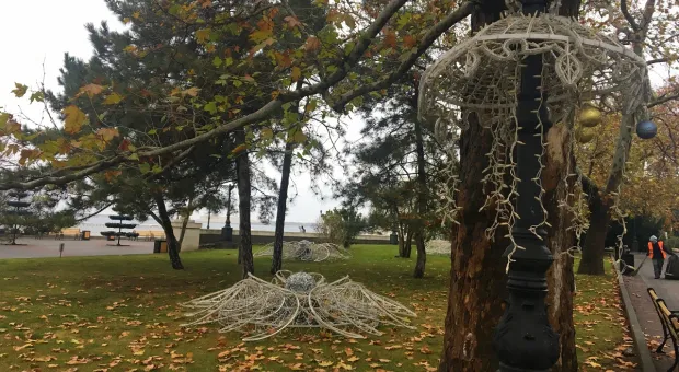Новости Севастополя - На Большой Морской срубят более двухсот деревьев