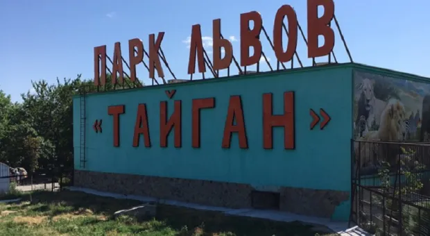 Парк львов «Тайган» в Крыму закрыт 