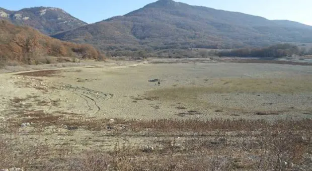 Новости Севастополя - У Севастополя нет права остановить вырубку редких деревьев в Севастополе 