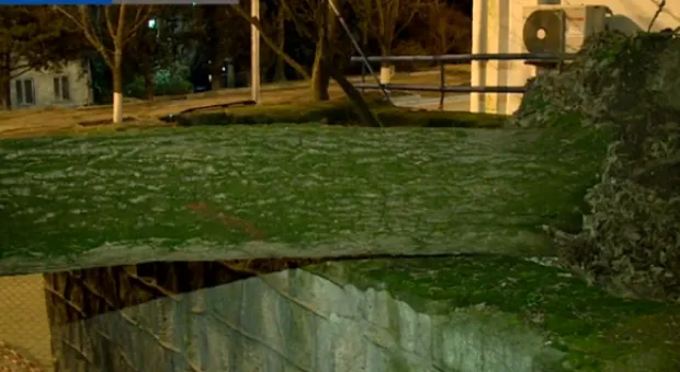 Новости Севастополя - Будет ещё красивее: Подпорную стену под елями на Восставших замазывают цементом