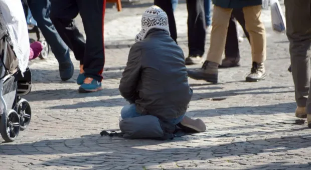 Почему в Севастополе необходим приют для бездомных