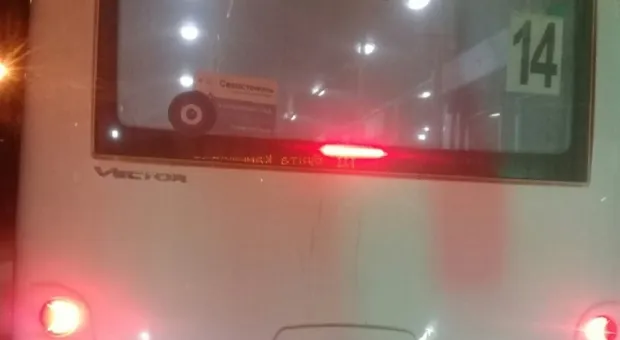 Редкостное хамло: водитель севастопольского троллейбуса возмутилась выходкой маршрутчика