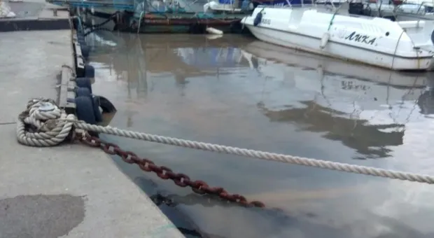 Новости Севастополя - Бывшие украинские военные могут стать севастопольскими ветеранами