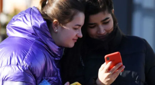 В РФ появится мобильное приложение с разъяснениями поправок в Конституции