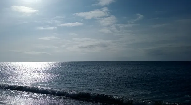 Новости Севастополя - МИД РФ рассказало ForPost о перспективах визита Роджера Уотерса в Севастополь