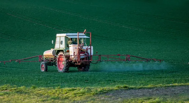 Власти Севастополя отказались от идеи узаконить пестициды