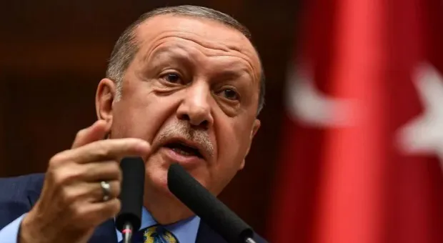 Сражения в Идлибе раскрыли цель Эрдогана в Сирии