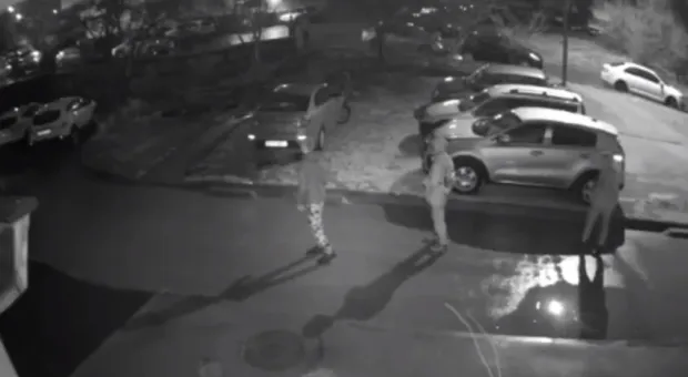 Новости Севастополя - Севастопольцев призвали браться за лопаты и грабли