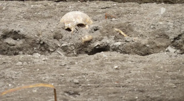 В Севастополе обнаружили херсонесита со «вторым скелетом»