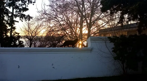 Новости Севастополя - #КудаПодаться: выставка «Легендарные женщины Севастополя» и страшная премьера