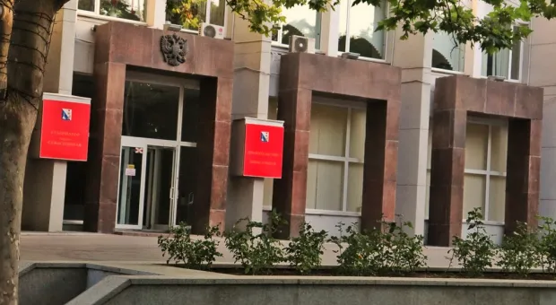 Новости Севастополя - К севастопольскому берегу прибило ещё одного мертвого дельфина