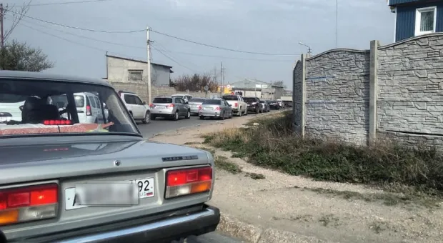 Новости Севастополя - Как проводят карантин известные севастопольцы