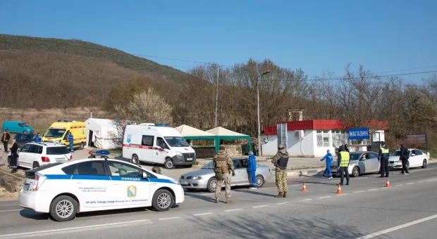 Новости Севастополя - Ещё одну дорогу в центральной части Севастополя расширяют за счёт деревьев 