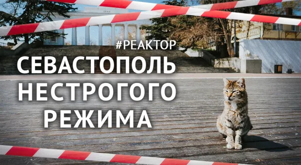 Новости Севастополя - Автовокзал Севастополя передумал возобновлять работу 